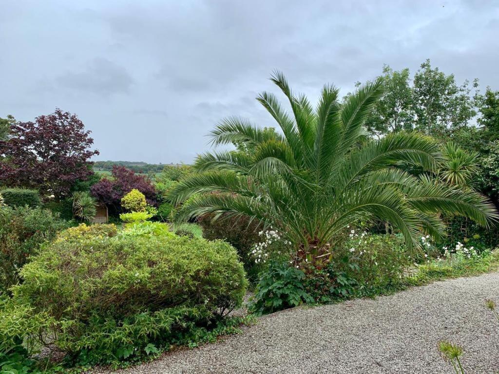 Penquite Holiday Accommodation Uny Lelant Bagian luar foto